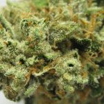 Fire OG Kush